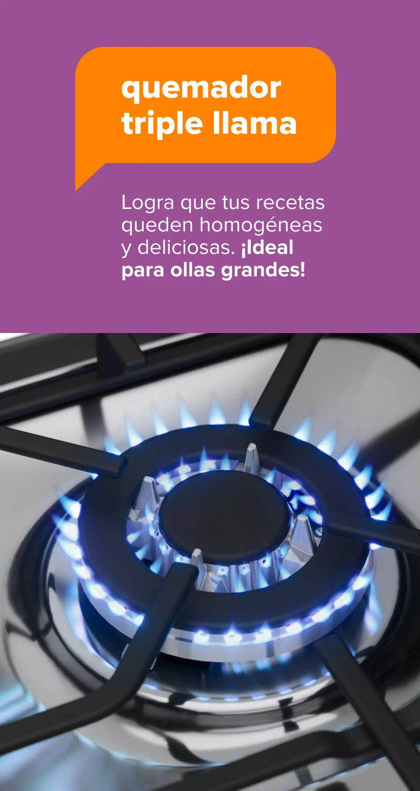 timer. Configura el tiempo de cocción deseado y recibe un bip al final