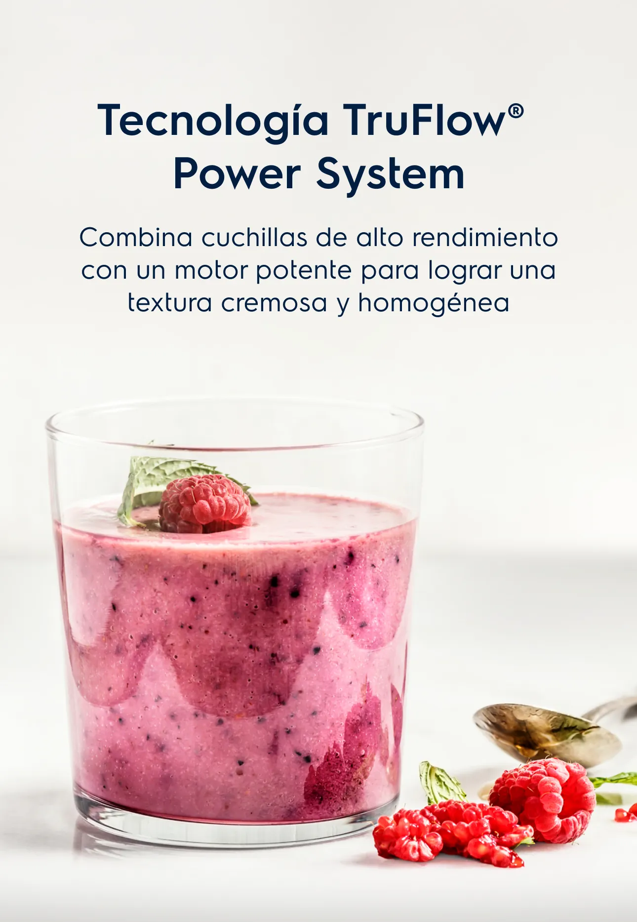 Tecnología TruFlow® Power System. Combina cuchillas de alto rendimiento con un motor potente para lograr una textura cremosa y homogénea